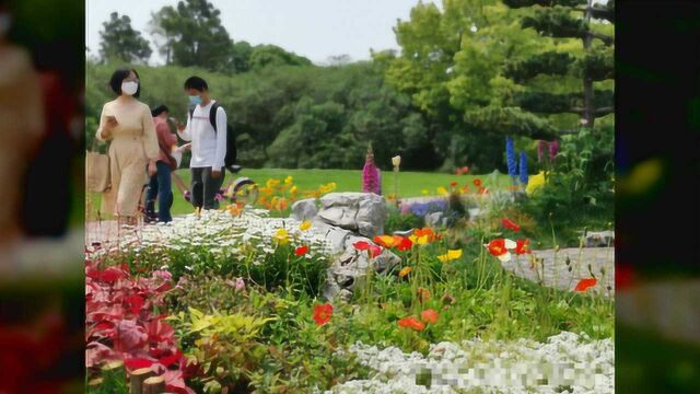 花香满园,游园有序,“五一”小长假共青森林公园迎来7.5万游客