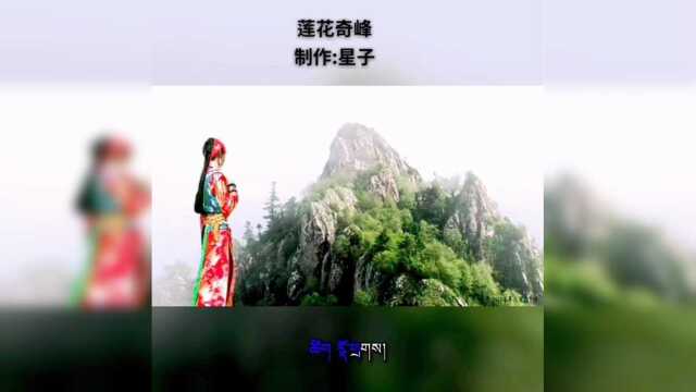 莲花山真是个好地方