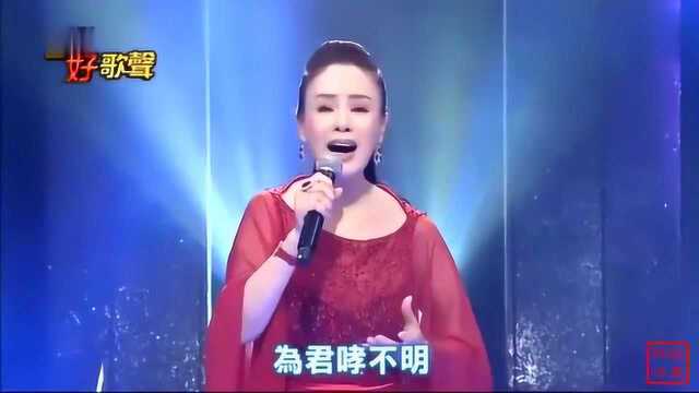 金佩姗闽南歌曲《南都夜曲》,经典港台情歌,现场演唱版