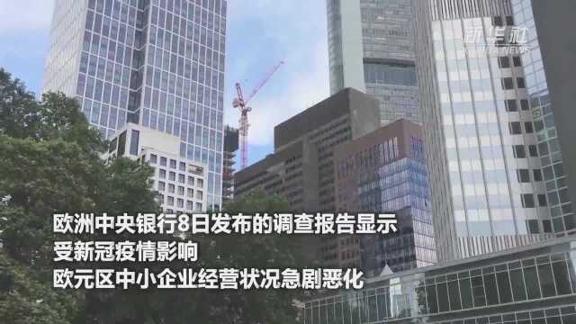 调查显示欧元区中小企业经营状况恶化