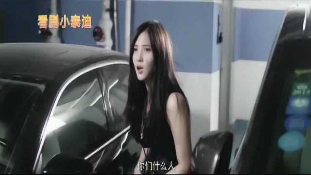 小泰迪电影推荐,美女与特种兵