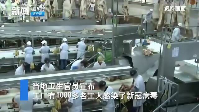 感染人数翻倍 美肉类加工厂复工当天 被告知千名工人确诊