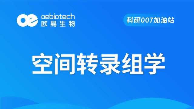 【单细胞测序6】空间转录组学介绍欧易生物