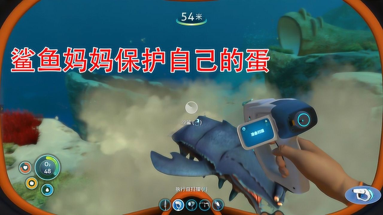 深海迷航鲨鱼妈妈以为我要偷蛋我用rap和它解释了一下