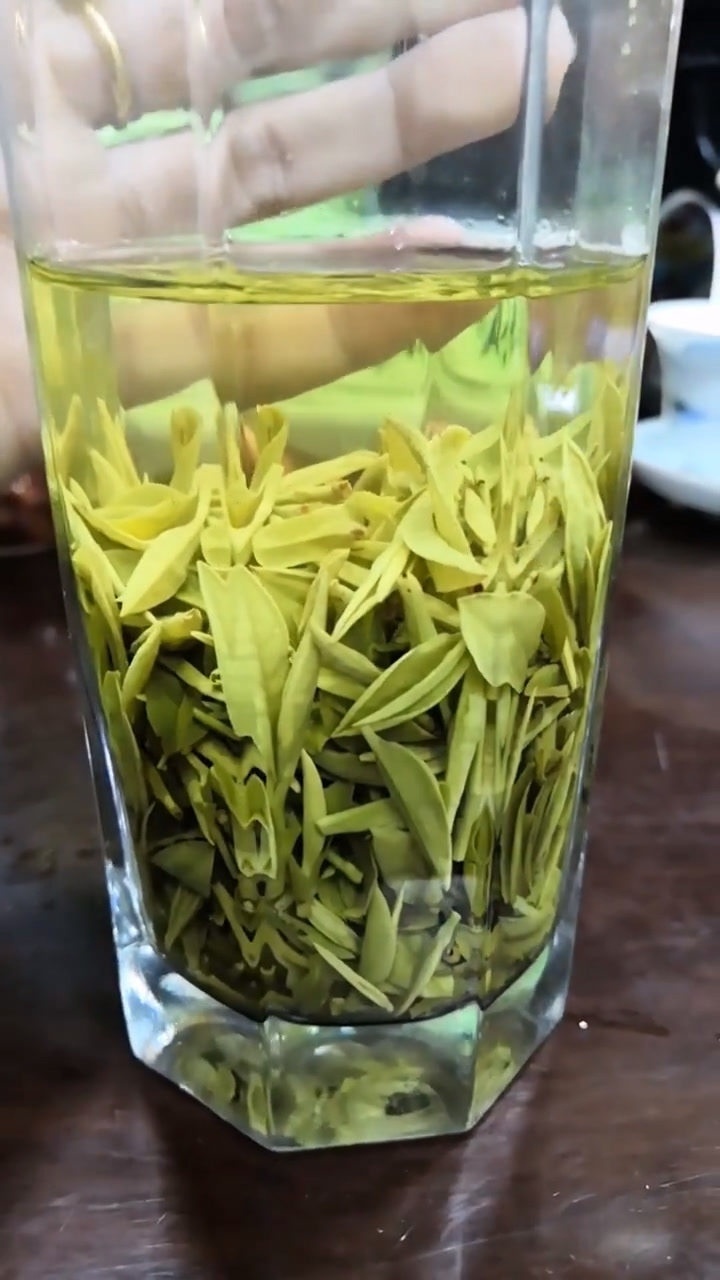 龙井茶叶泡开之后就是这个样子,十分的好看呢!_腾讯视频