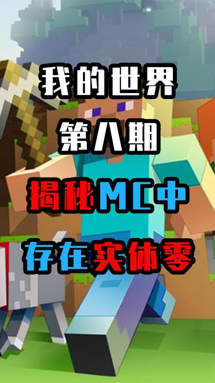 我的世界:实体0真的存在吗?