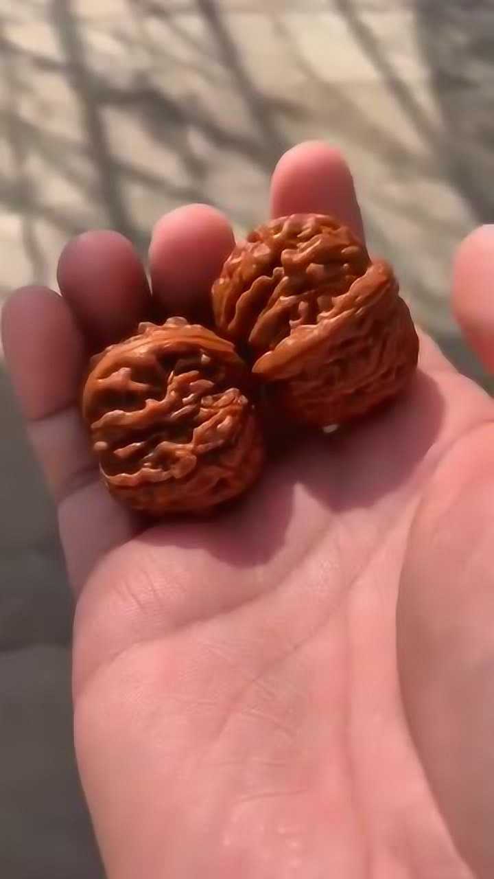 文玩核桃:元宝肚,皮质不赖,有懂行的吗