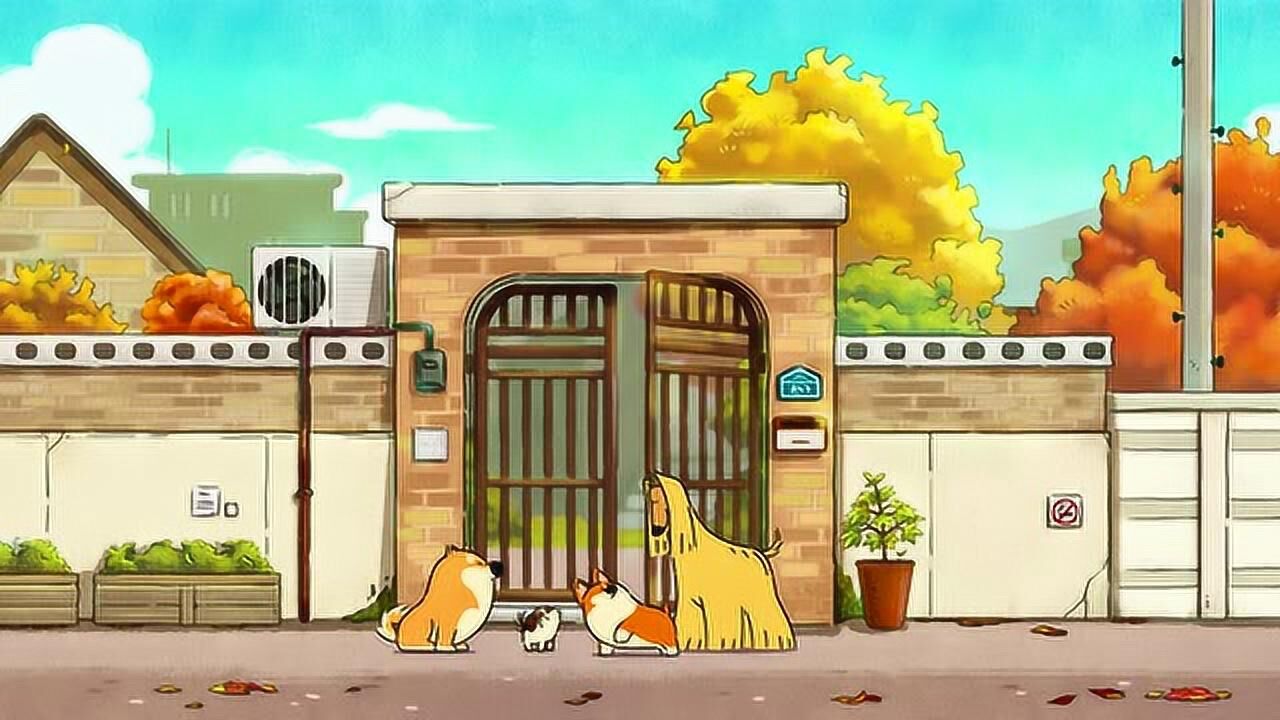 doggiecorgi韩国治愈可爱柯基动画短片001