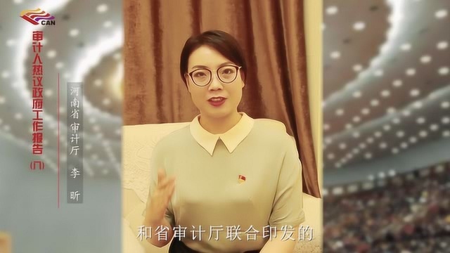 审计人热议政府工作报告0801