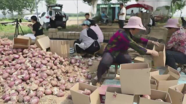 (电视通稿ⷥ›𝥆…ⷮŠ经济)沂蒙山小两口打造三农自媒体 助力乡亲脱贫