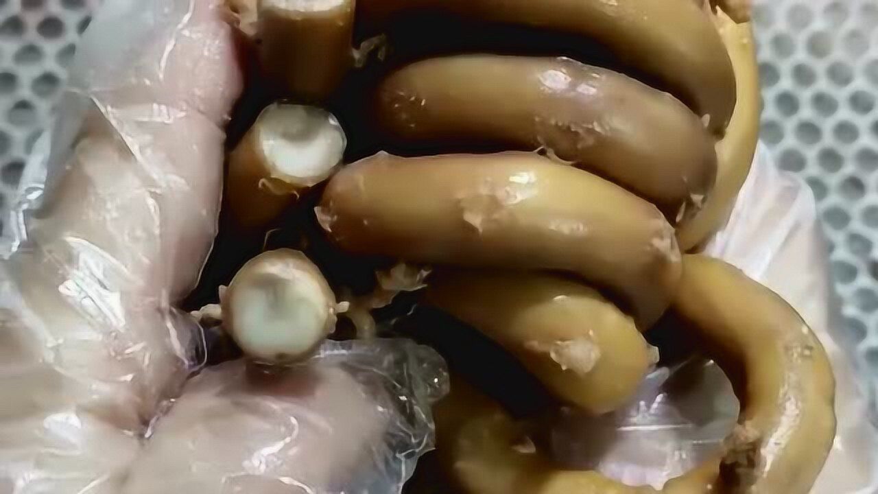 驴骨髓的营养价值很高但是一只驴中数量极少贵也是有原因的