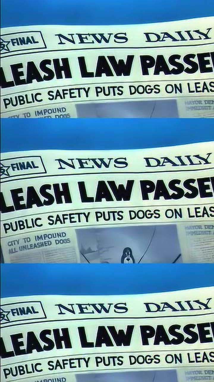 猫和老鼠汤姆看到了报纸上的内容突然想到了什么