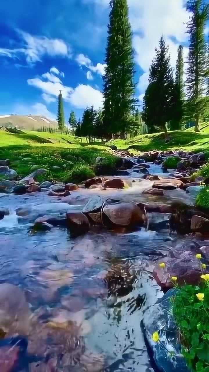 天山融雪化成的小溪这潺潺的流水声真是人间仙境