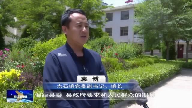 太石镇:党建引领做先锋,融合带动求实效