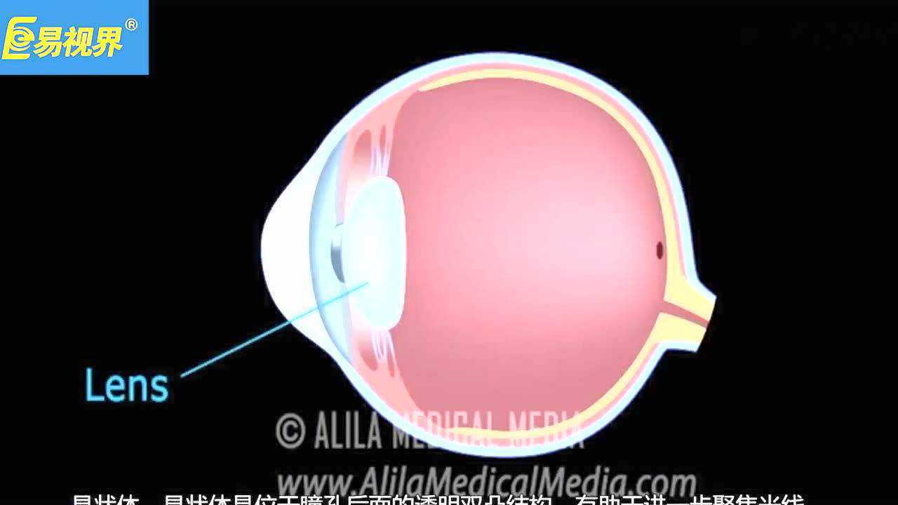 _高清1080P在线观看平台_腾讯视频