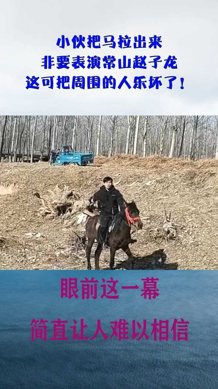 小伙把马拉出来非要表演常山赵子龙这可把周围的人乐坏了