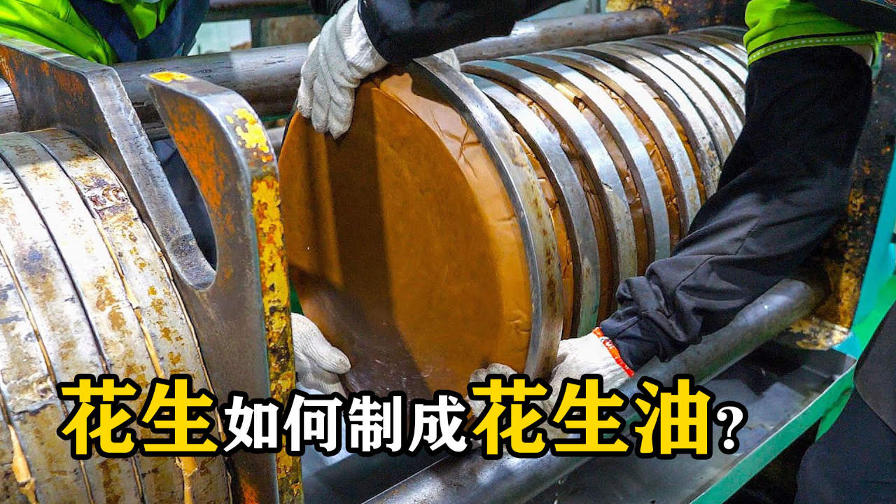 一颗小小的花生米是如何制作成花生油的揭秘花生油制作全过程