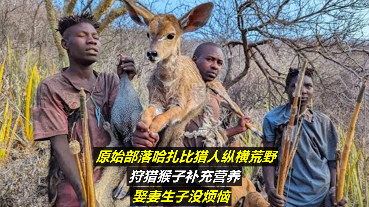 狩猎猴子补充营养,娶妻生子没烦恼|纪录片