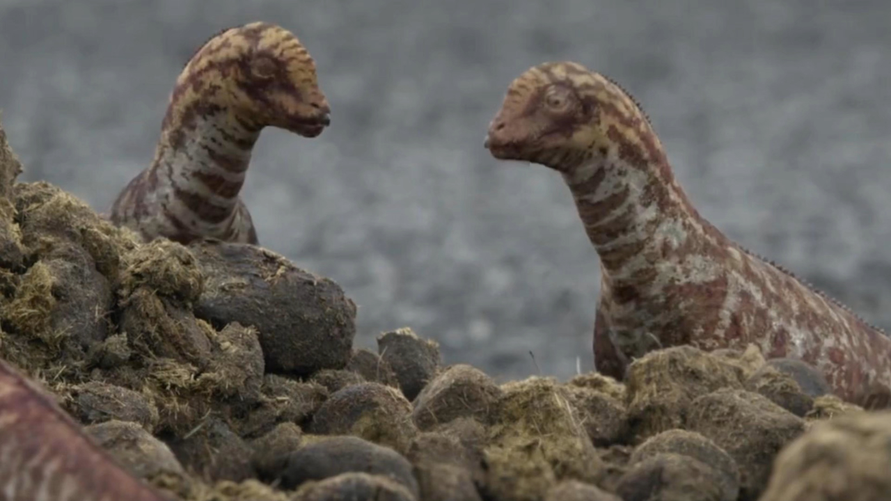 敢吃屎的不一定是狗子,还可能是恐龙!