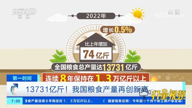 13731亿斤!我国粮食产量再创新高