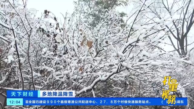 黑龙江鸡西:人机配合清扫积雪,保障城市道路畅通