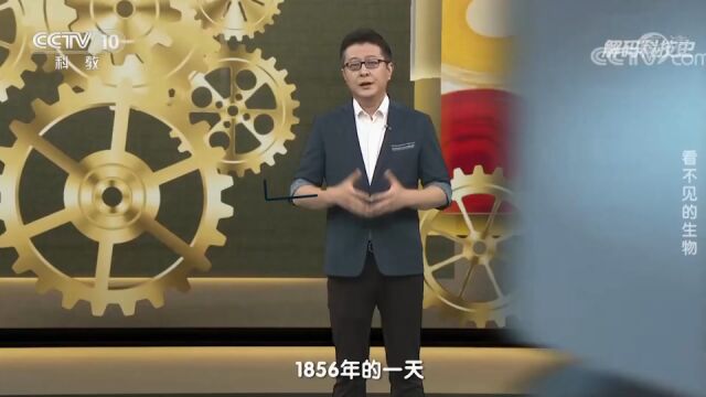 巴斯德创造的巴氏消毒法,让酿酒行业有了更大的进步