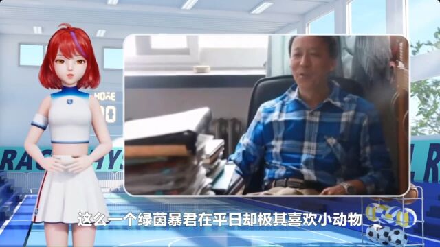 你不知道的王小平:流浪动物的呵护者,足协的外包律师团