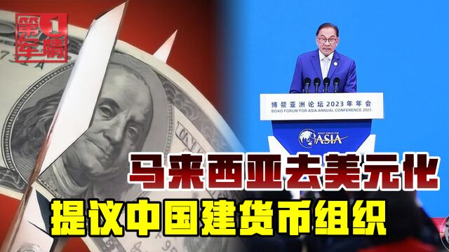 马来西亚向中国提议建“货币组织”,不想再被美元割韭菜