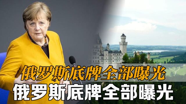 德国基民盟正改写默克尔的“中国战略”