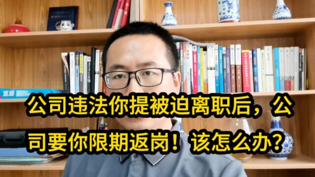 公司违法辞退,你提被迫离职后公司要你限期返岗!该怎么办?3方案