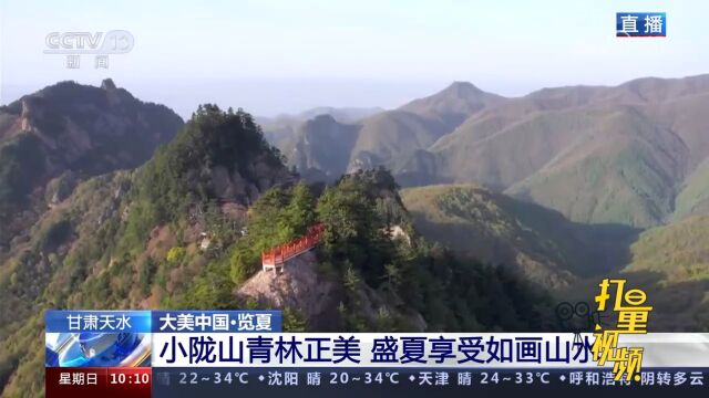 甘肃天水:小陇山青林正美,松涛阵阵清风徐徐,游客享受如画山水