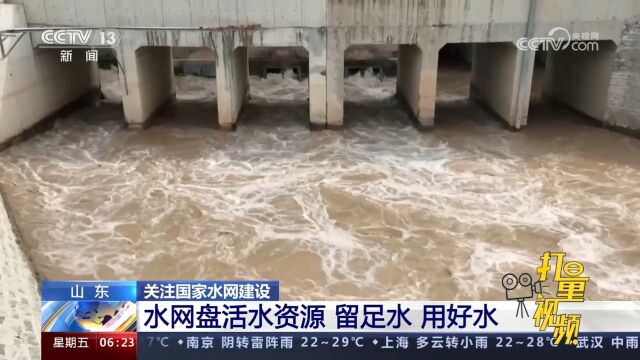 关注国家水网建设!山东:水网盘活水资源,留足水,用好水