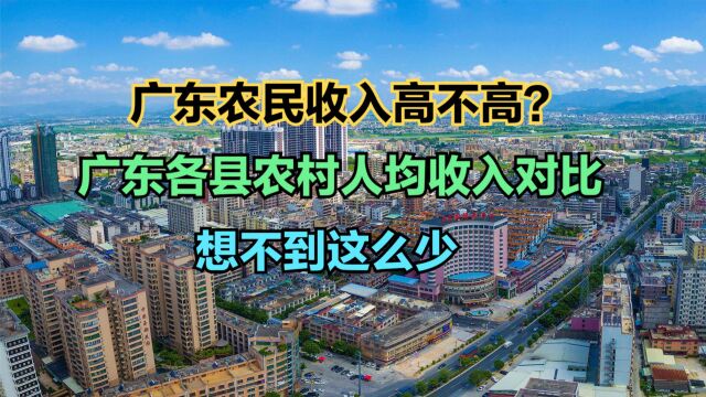 广东农民一年收入有多少?2022广东各县农村人均收入排名,17个不足2万