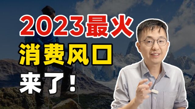 一年翻三倍!这个小众品类,风口终于到了?