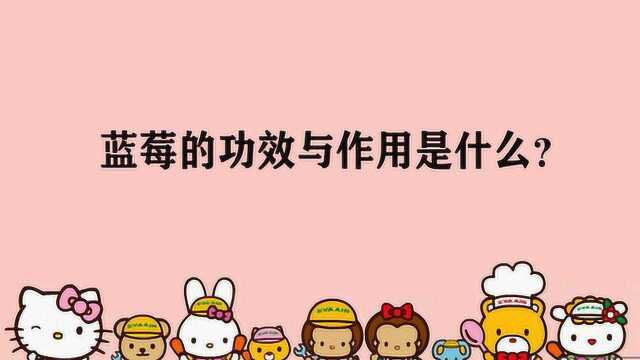 蓝莓的功效与作用是什么?