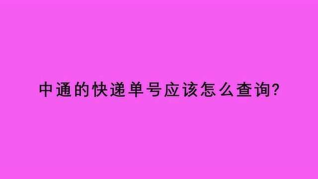 中通的快递单号应该怎么查询?