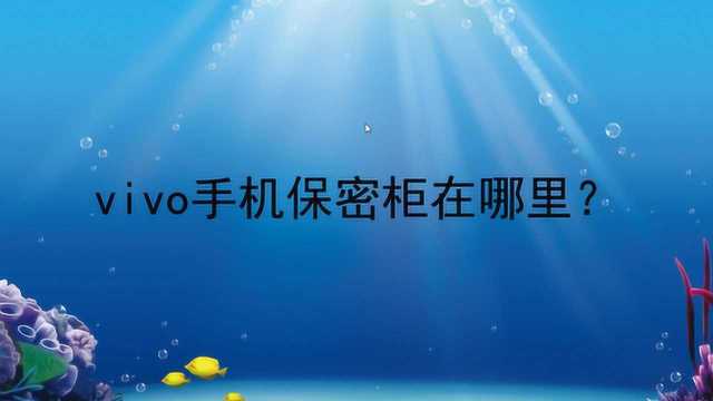 vivo手机保密柜在哪里?