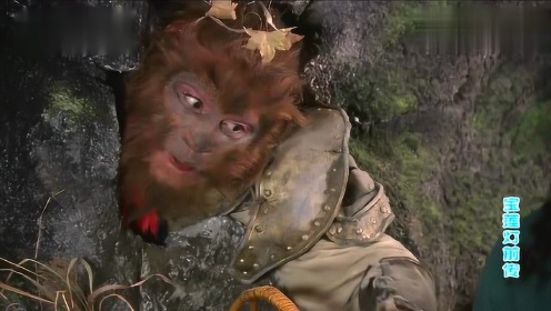 玉鼎真人去看望孙悟空,心疼自己徒弟,还给他送东西吃