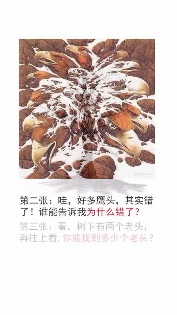 5张图就能测试你智商高低能完成80的都是高智商你能完成几个