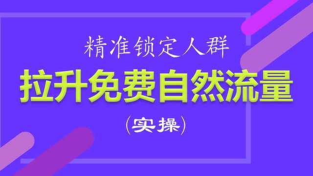 精准锁定人群拉升免费自然流量(实操)