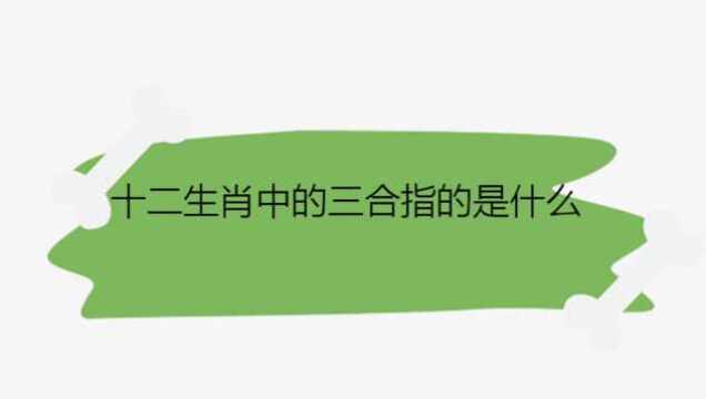 十二生肖中的三合指的是什么