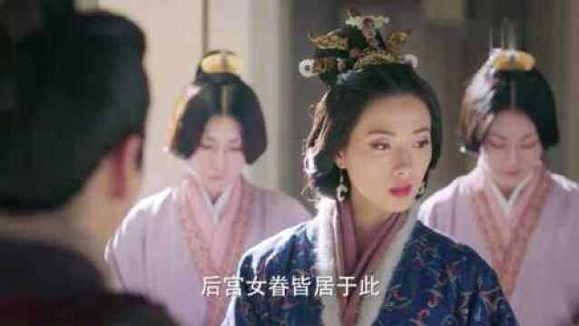 【三国机密】后宫女人