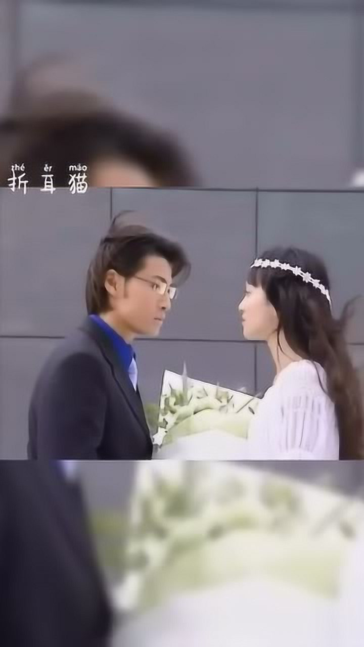 海豚湾恋人张韶涵和许绍洋的一部偶像剧青春啊