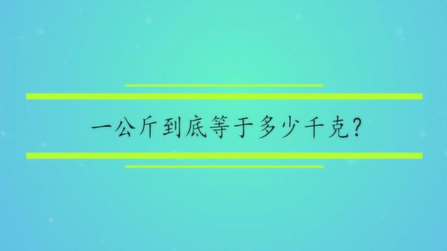 一公斤到底等于多少千克?