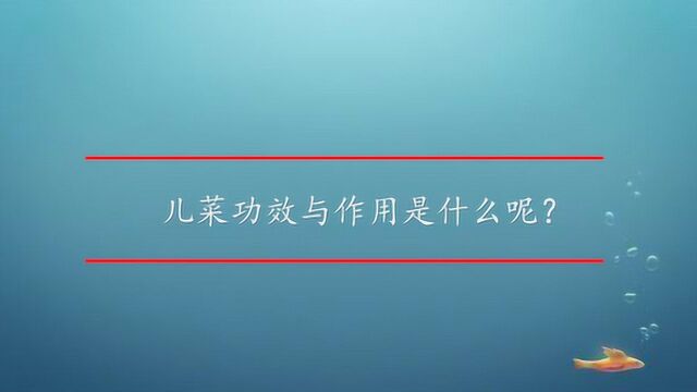 儿菜功效与作用是什么呢?