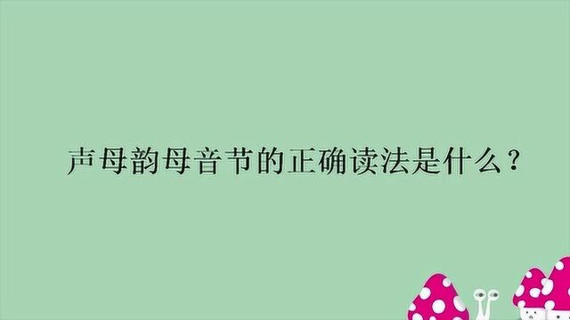 声母韵母音节的正确读法是什么?