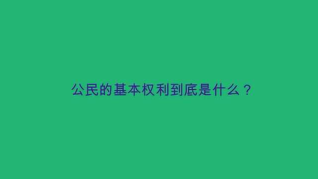 公民的基本权利到底是什么?