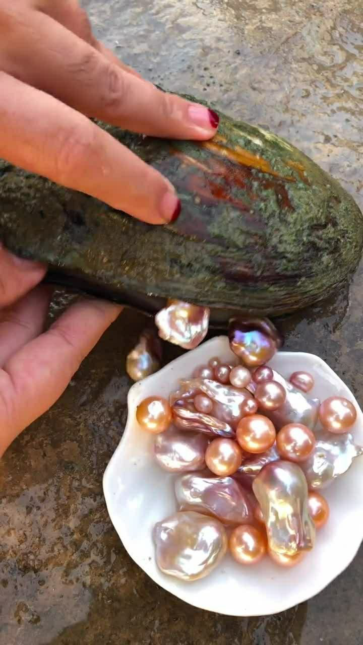 源源不断的珍珠看看是如何吐出来的