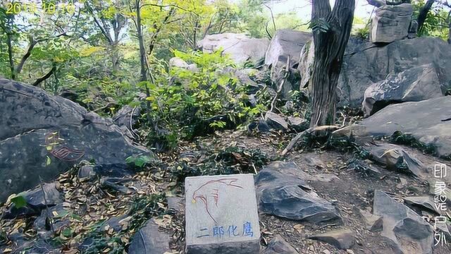 江苏连云港5A景区花果山:怪石园,到底有多怪?居然活灵活现