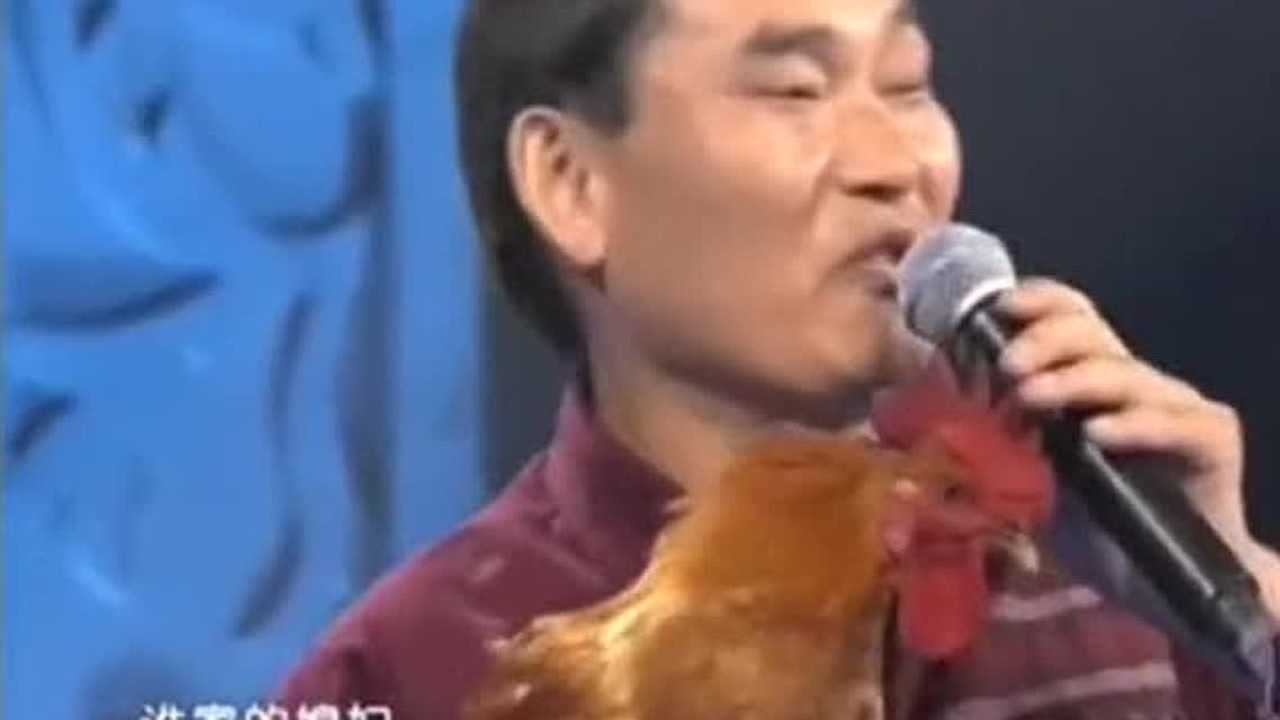 朱之文手捧神鸡！叫它干嘛它就干！网友：太神奇啦_高清
